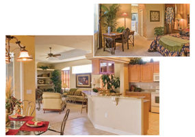 Grand Bahama Interior
