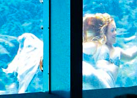 Weeki Wachee Florida Mermaid